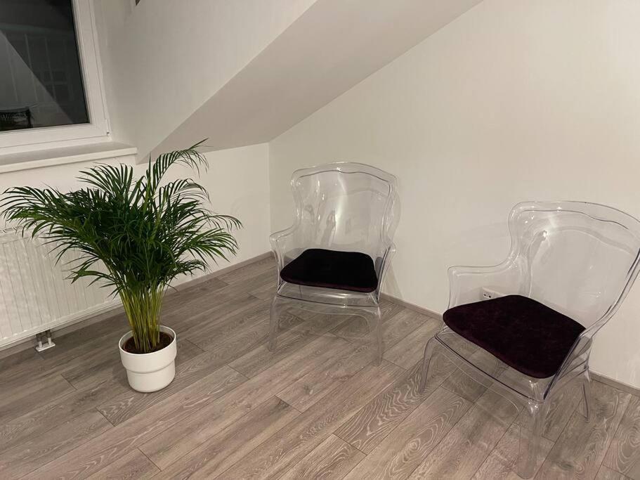 شقة Dachterrasse Fuer 4 Personen فيينا المظهر الخارجي الصورة